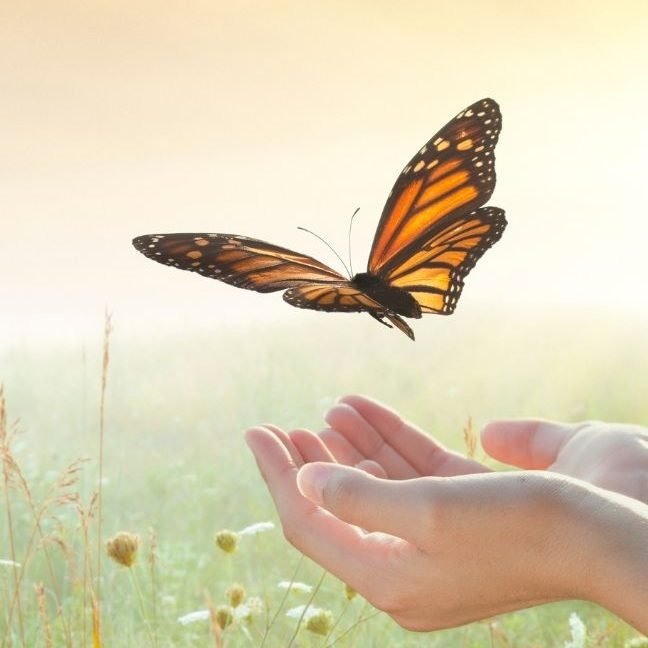 Letting go of stress